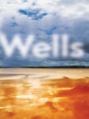 cover image of Wells